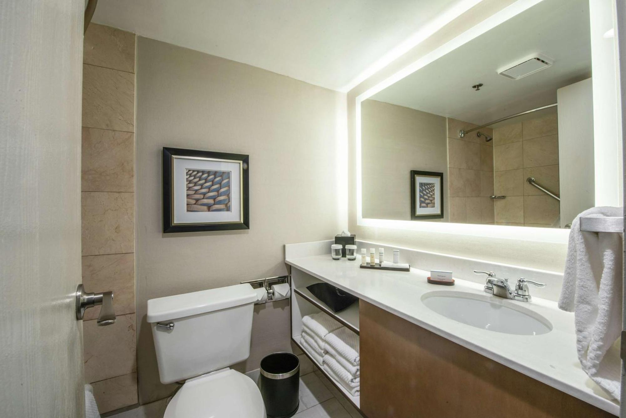 Embassy Suites By Hilton Chicago Schaumburg Woodfield Ngoại thất bức ảnh